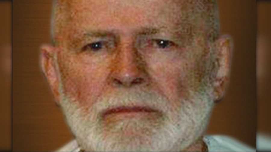 James "Whitey" Bulger may be serving two life sentences in Tucson, Ariz., but in Boston, his attorney, Hank Brennan, is busy working on his client's appeal.
