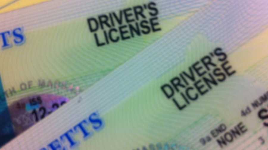 Driver's License ID