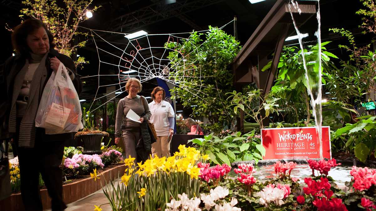need spring? photos of boston's flower & garden show