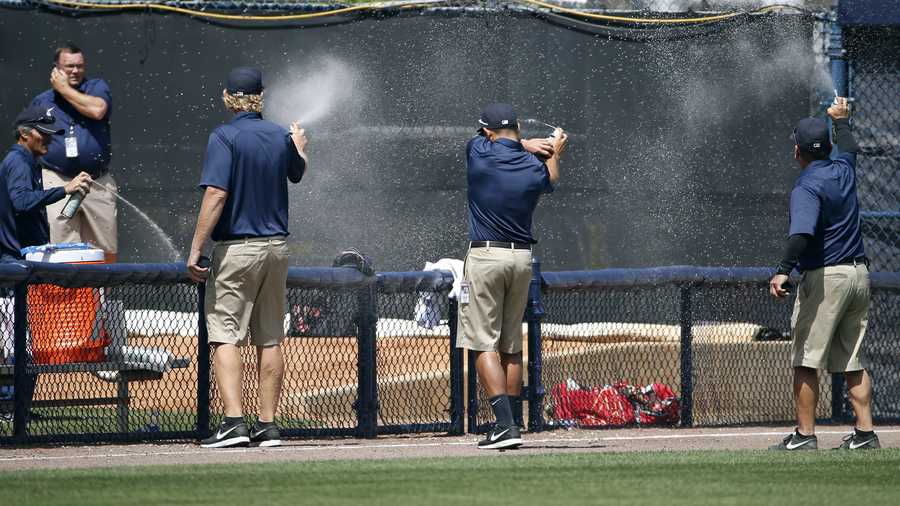 Groundskeepers spray insecticide on a swarm of bees that came from left field into the Boston Red Sox bullpen in the bottom of the third inning of a spring exhibition baseball game against the New York Yankees in Tampa, Fla., Tuesday, March 18, 2014. The game was delayed while the swarm was eradicated.