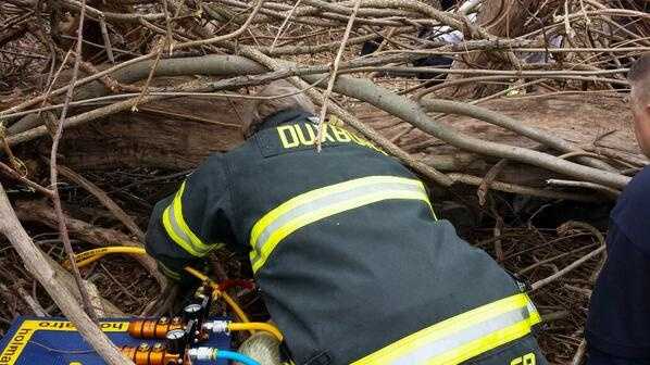 Images Crews Rescue Man Trapped Under Tree