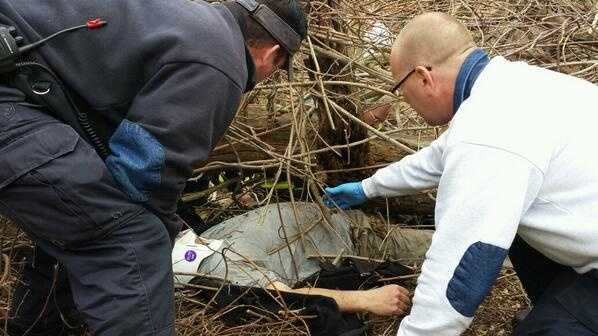 Images Crews Rescue Man Trapped Under Tree