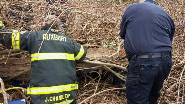 A man had to be rescued Friday after a tree fell on him in Duxbury.