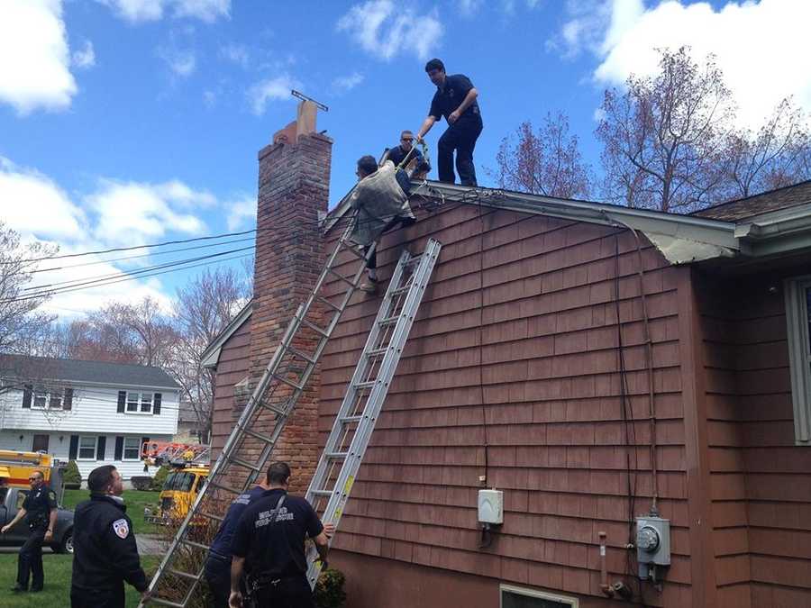 Man entangled in power line after fall