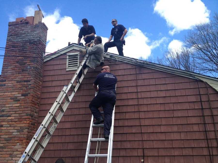 Man entangled in power line after fall
