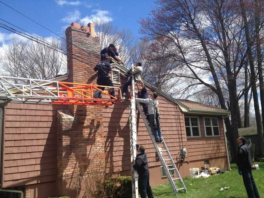 Man entangled in power line after fall