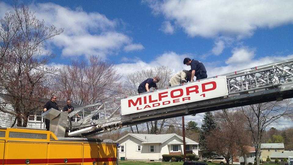 Man entangled in power line after fall