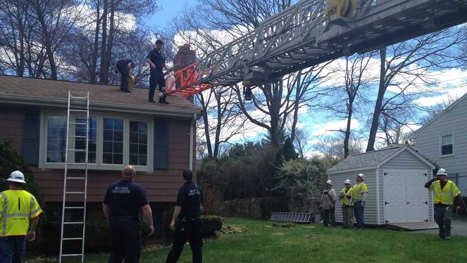 Man entangled in power line after fall