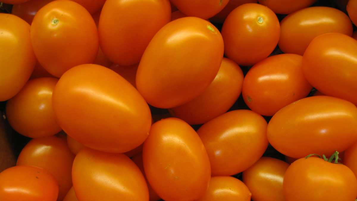 1 food you do need to refrigerate, 10 you don't