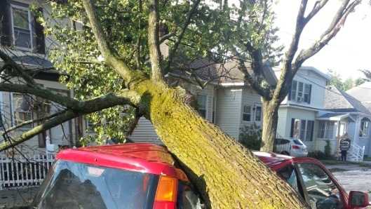 A tree crushed this car parked on Caswell Avenue in Methuen.