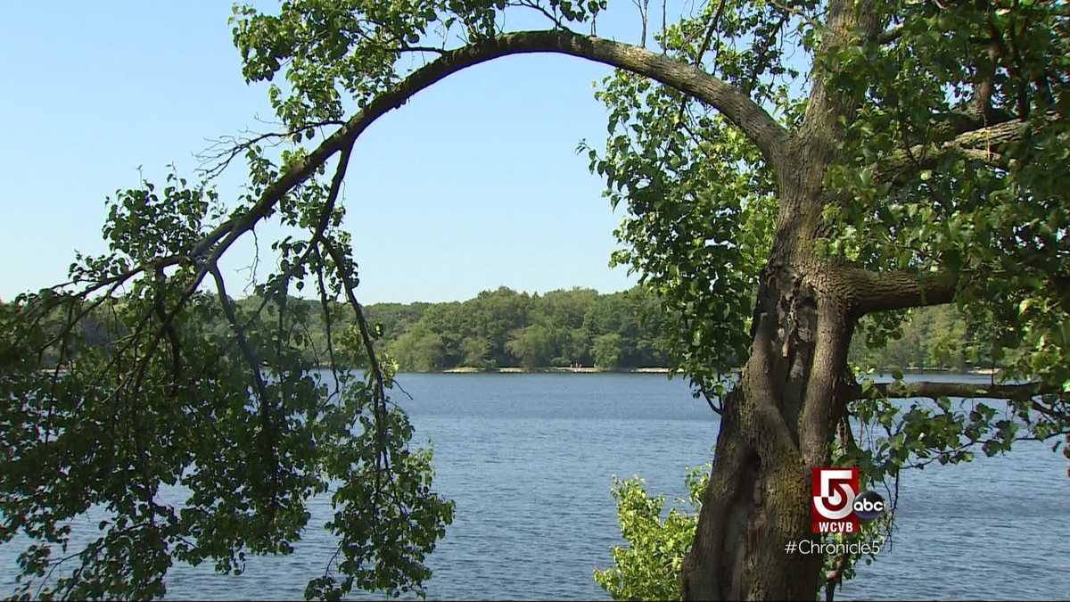 Take a tour of Jamaica Plain