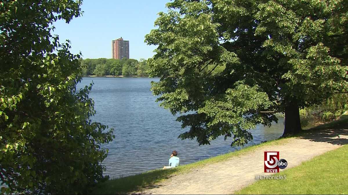 Take a tour of Jamaica Plain