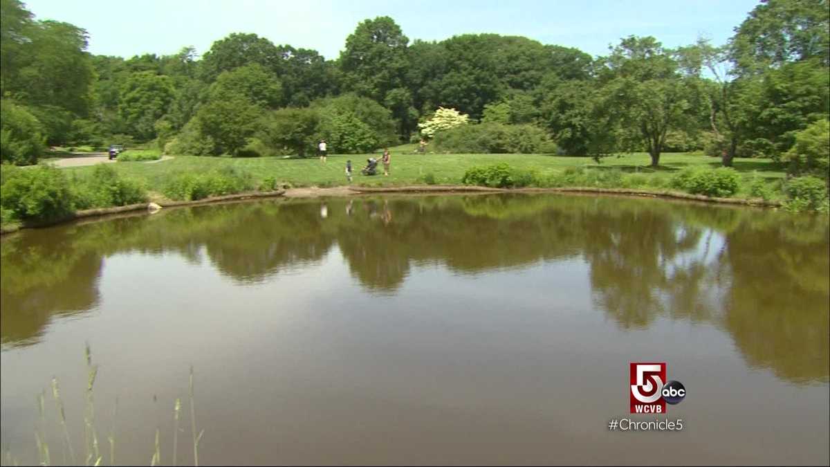 Take a tour of Jamaica Plain