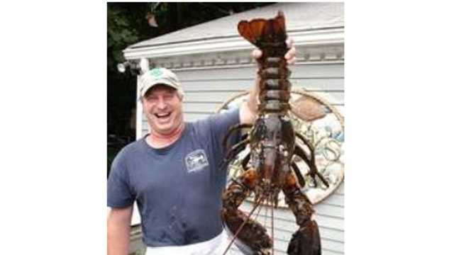 Huge 18-pound lobster caught off Mass. being sent back to sea