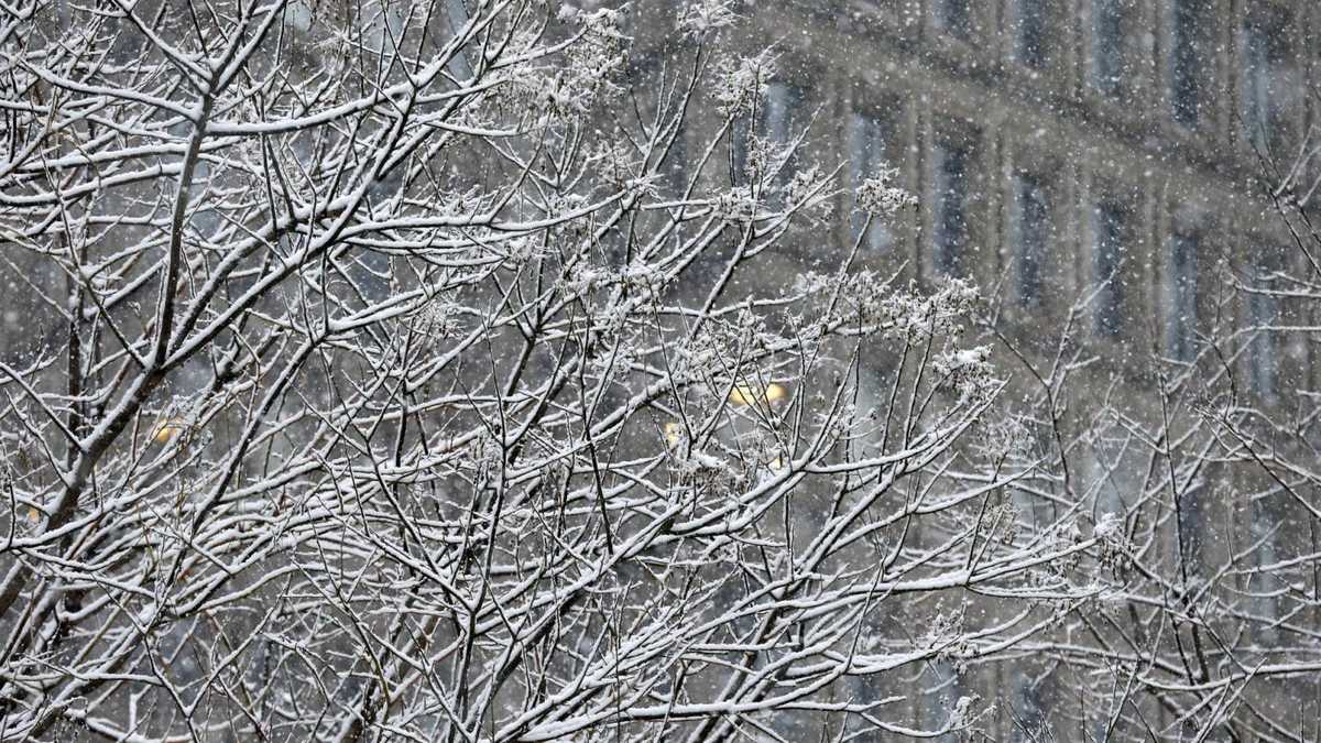 What an average winter in Boston looks like