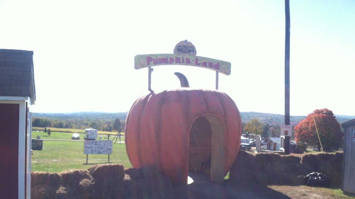 Photos 1 killed, 22 hurt in hayride accident