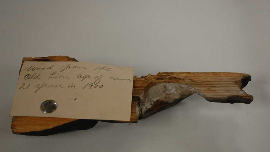 Wood removed from the Old Lion age of same 21 years in 1900” (notation hand-written on reverse of business card for American Painting & Decorating Co. and tacked onto the back of the piece of wood)