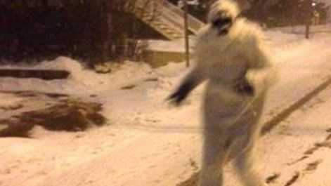Yeti seen prowling snowy streets