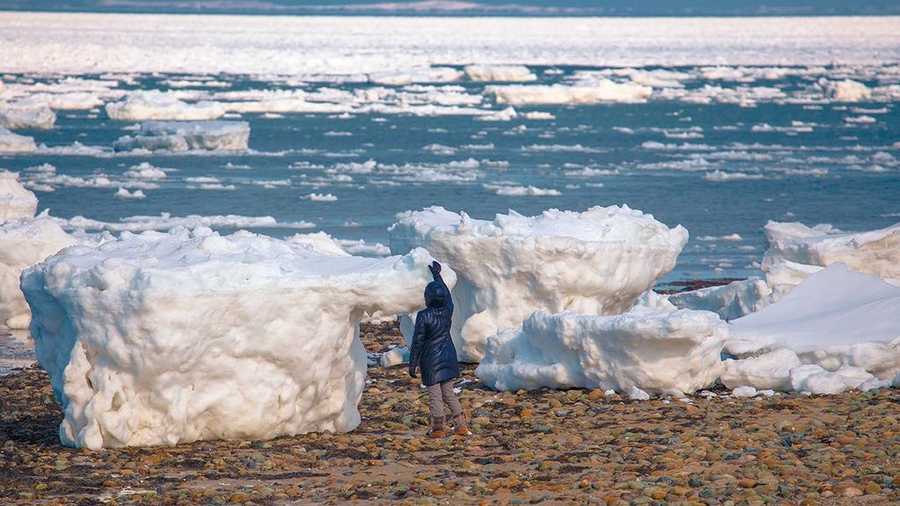 Winterin Cape Cod? - The Woks of Life