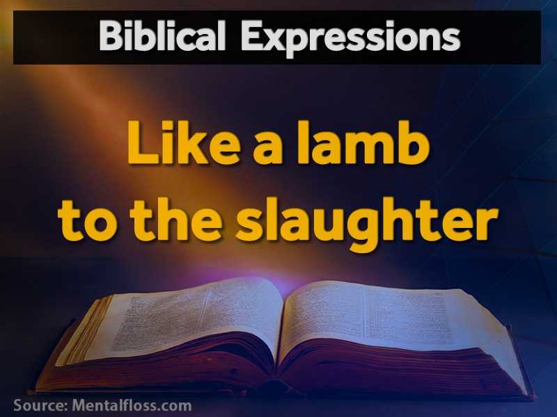 20 everyday expressions taken from the bible