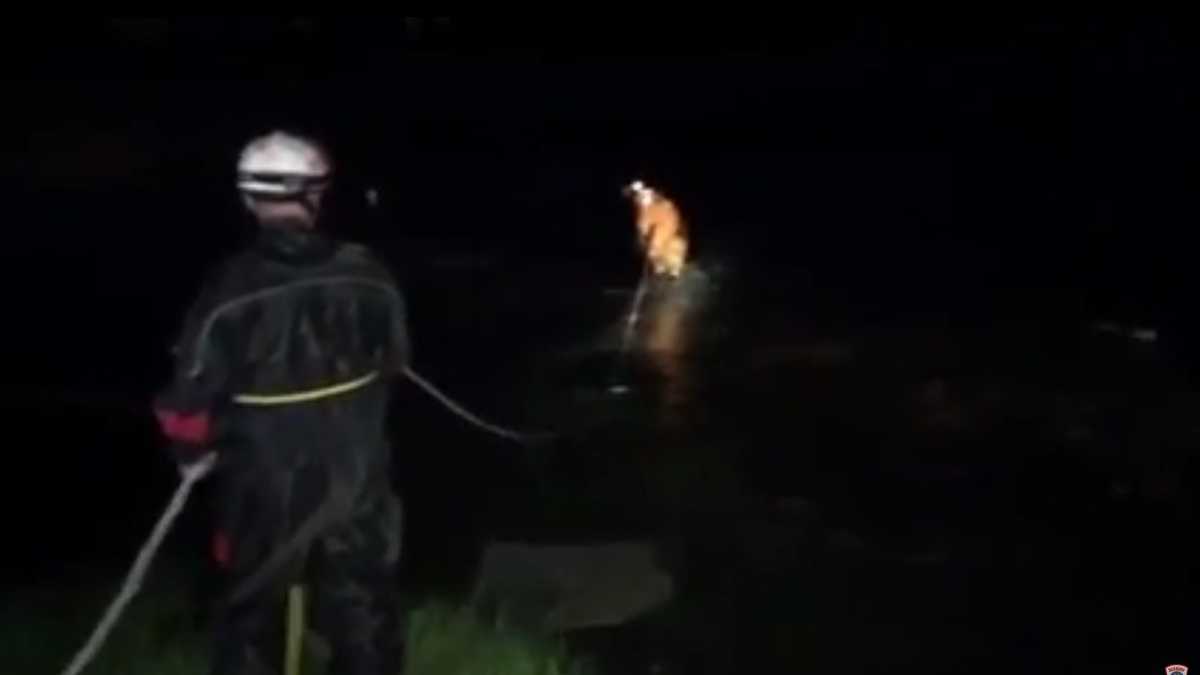 Firefighters Rescue Man Stuck In Mud