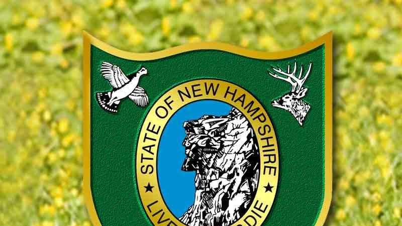 Lifetime hunting, fishing licenses available for newborns in NH