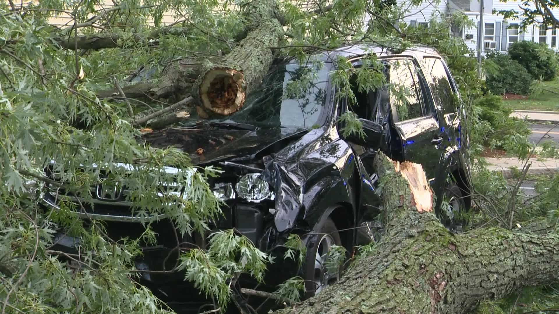 Cleanup Begins After Powerful Storms Bring Damaging Winds, Large Hail