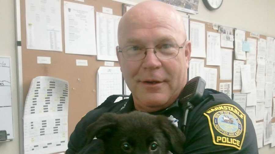 Barnstable police officer James Melia with "Midnight."