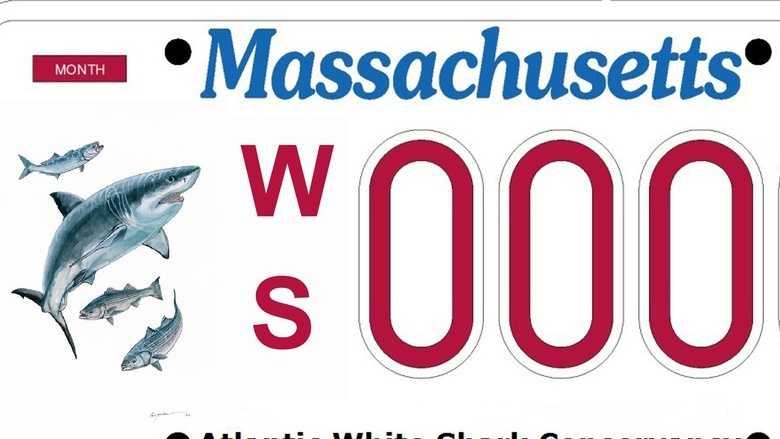 A great white shark license plate in Massachusetts is the goal of the Atlantic White Shark Conservancy.