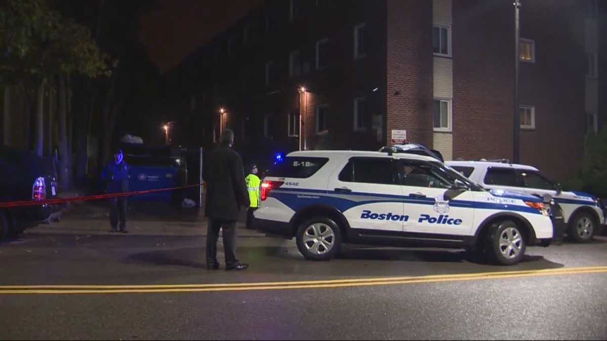 1 dead in overnight shooting