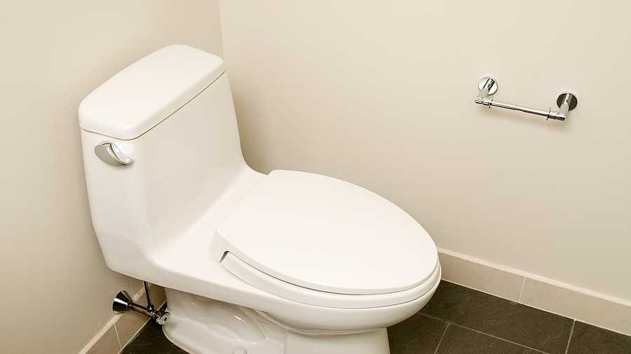 Company Forced Workers To Clock Out For Bathroom Breaks - What Is Another Name For A Bathroom Break Company Forced Workers To Clock Out For Bathroom Breaks - What Is Another Name For A Bathroom Break