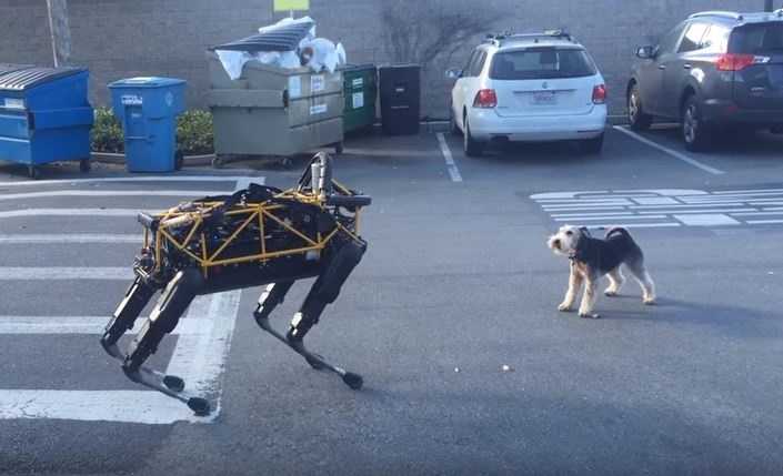 real dog robot