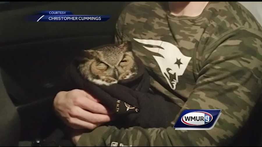 New Hampshire State Police have saved a lot of lives over the years, but one trooper may have set a new standard for helping out our fine feathered friends with a very unique rescue in Merrimack.