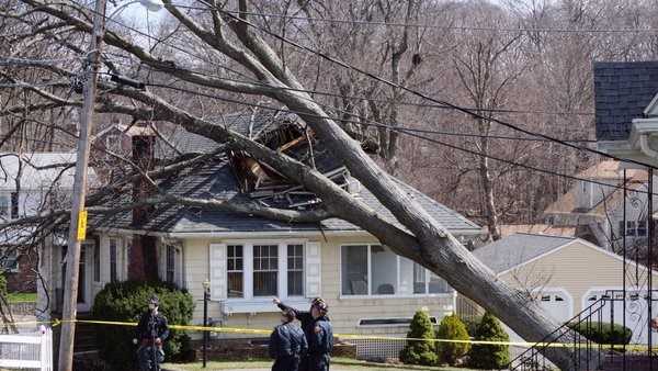 Strong winds down trees, power lines