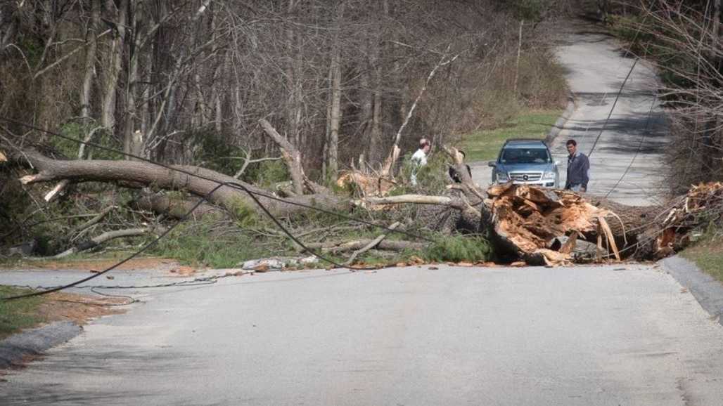Strong winds down trees, power lines
