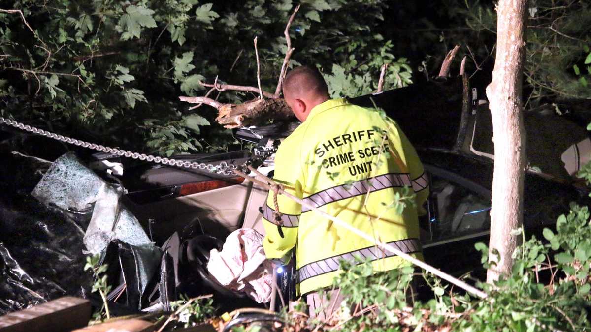 Driver seriously injured after car slams into tree