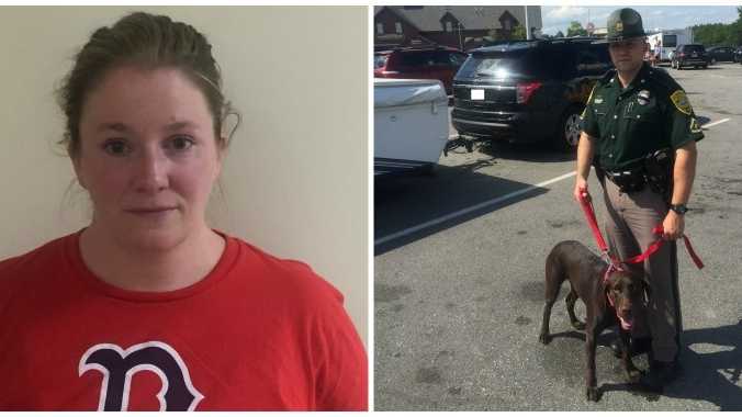 Woman faces animal cruelty charges for leaving dog in hot car