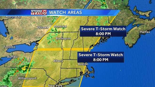 Microburst brings down trees, power lines in Mass., officials confirm