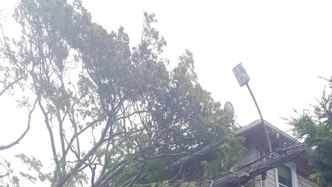 Severe thunderstorms topple power lines, trees
