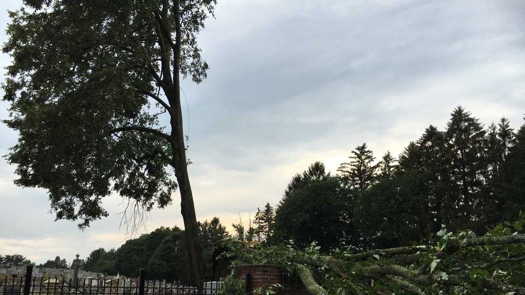 Severe thunderstorms topple power lines, trees