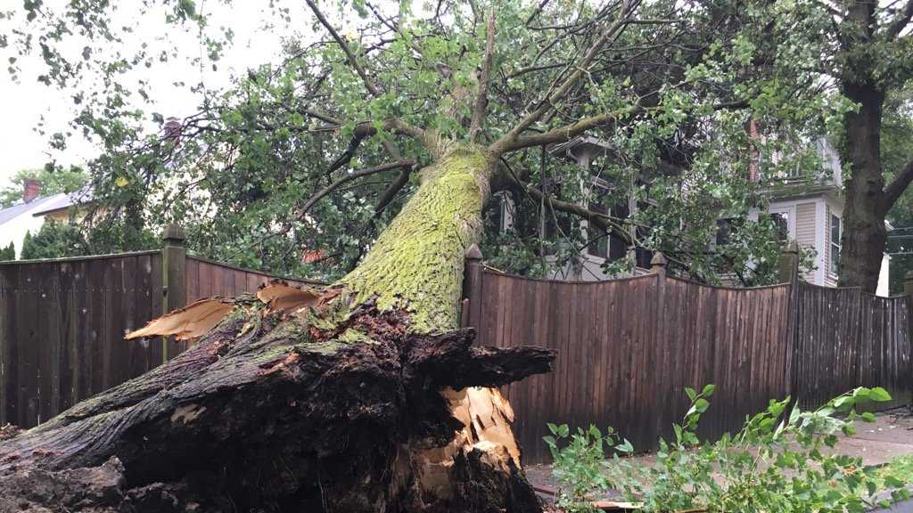 Severe thunderstorms topple power lines, trees