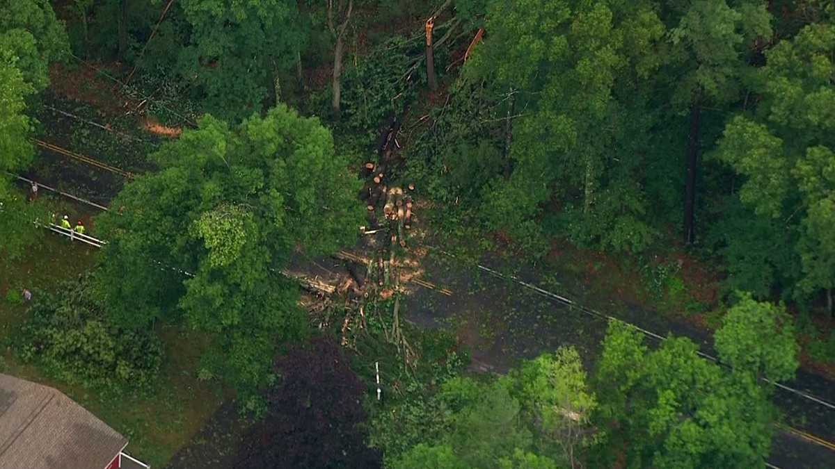 Severe thunderstorms topple power lines, trees