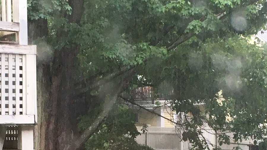 Severe thunderstorms topple power lines, trees