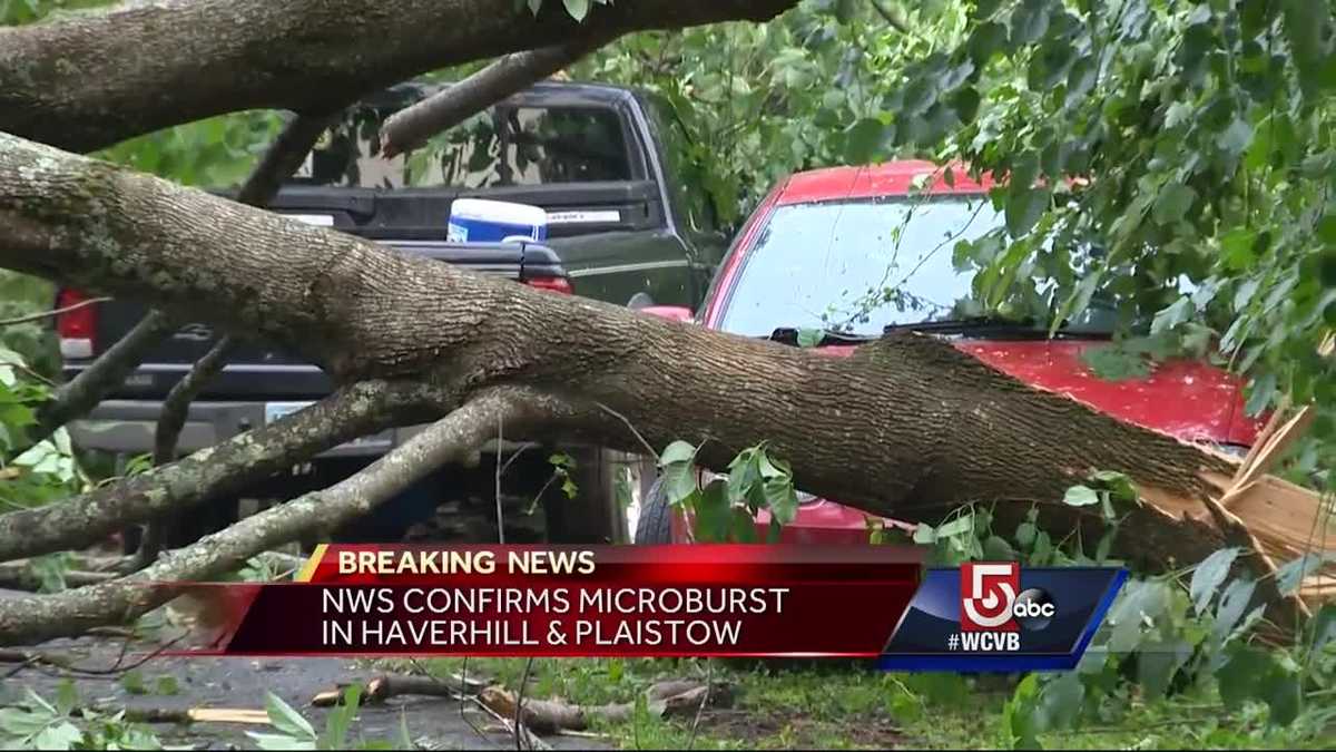 Microburst brings down trees, power lines in Mass., officials confirm