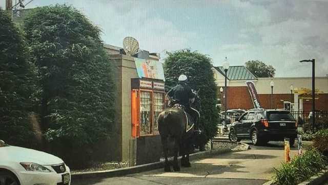 Saratoga Springs Police Department mourns loss of horse that went viral for Dunkin' run - Vimarsana News