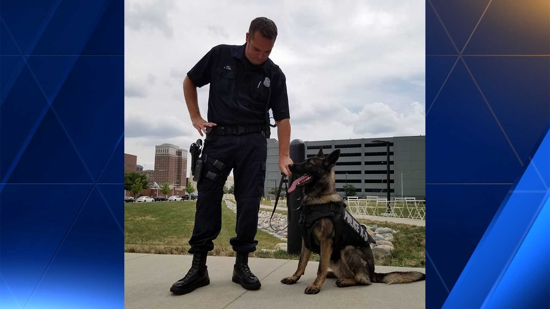 do police dogs wear bulletproof vests