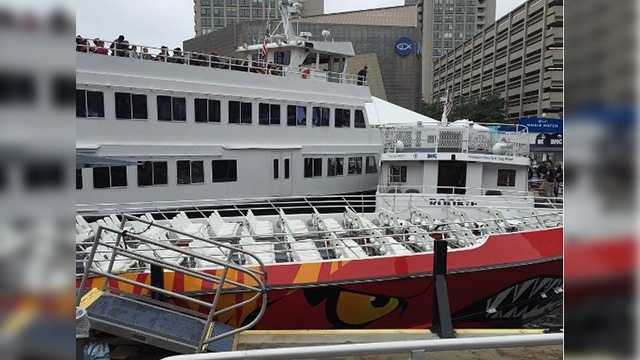 are dogs allowed on boston harbor cruises