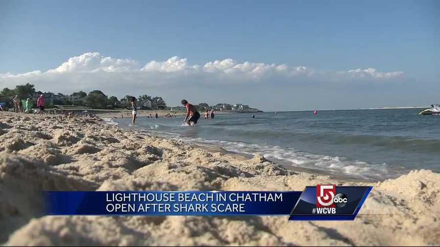 Many people were trying to cool off at Lighthouse Beach in Chatham Sunday afternoon when a shark scare forced an evacuation of the water.