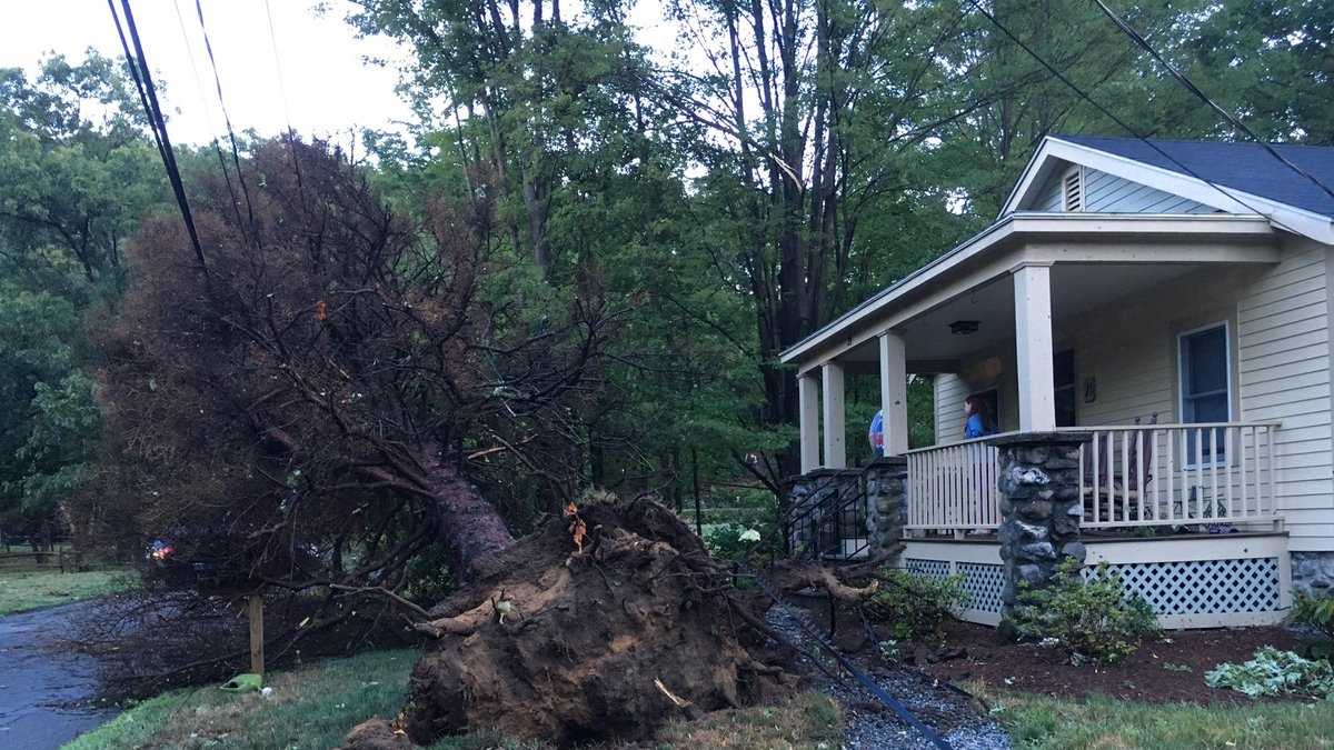 Severe storms bring down trees, power lines