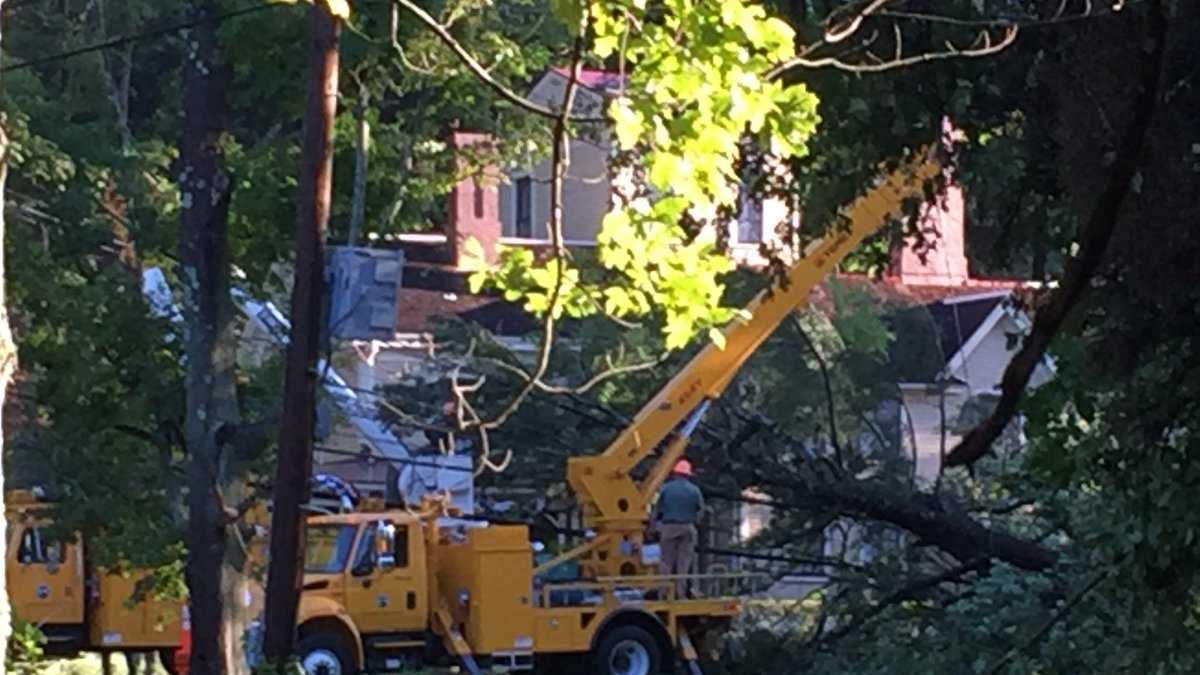 Severe storms bring down trees, power lines